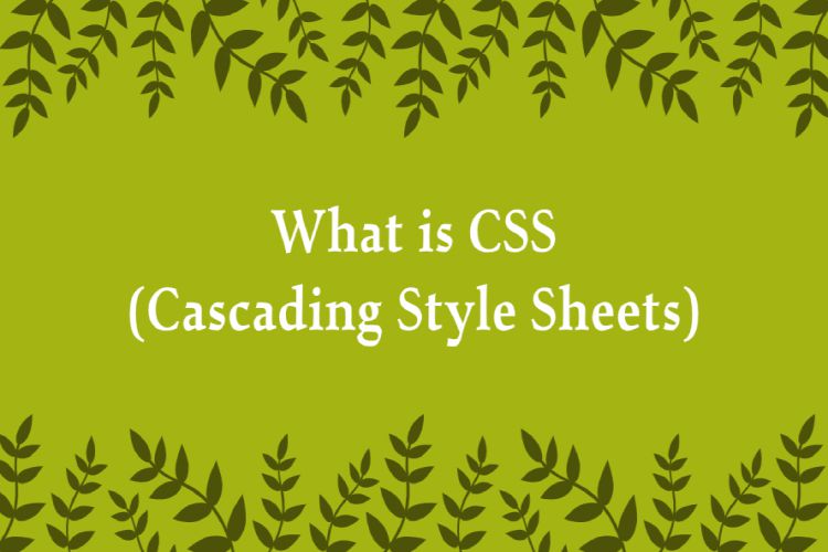 what is css