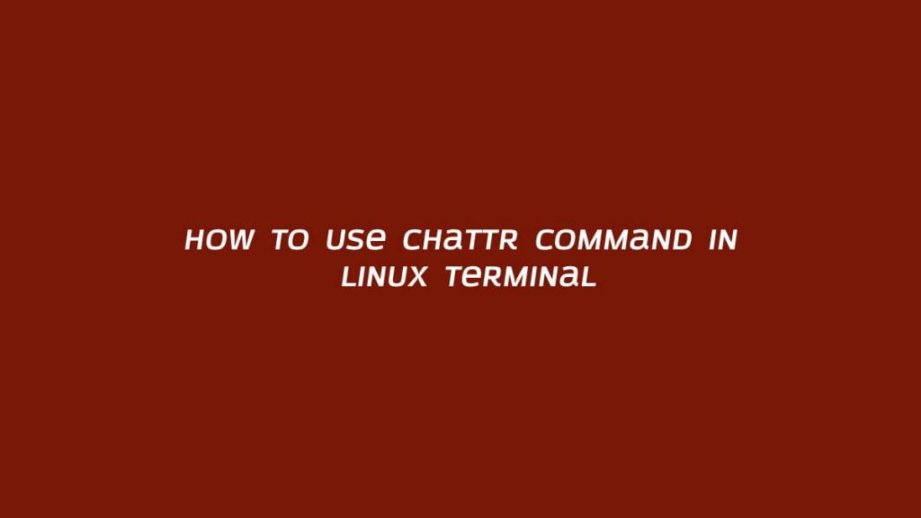 How to use Chattr Command in Linux Terminal