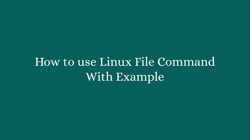 How to use Linux File Command With Example
