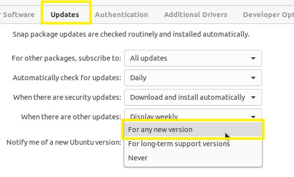 open update tab
