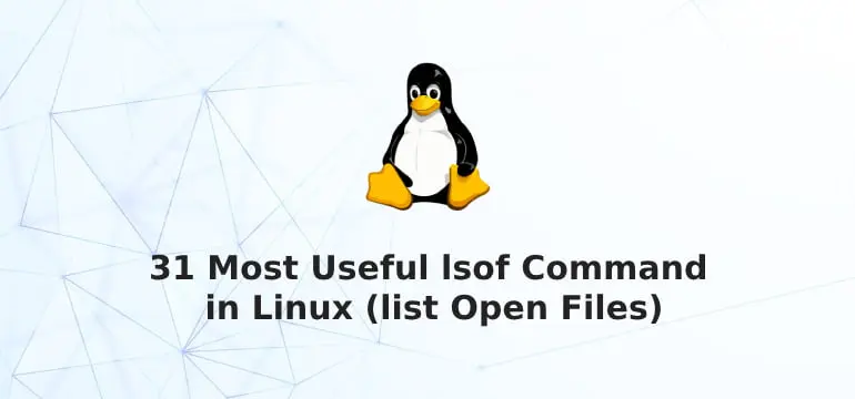 31 Most Useful lsof Command in Linux (list Open Files)